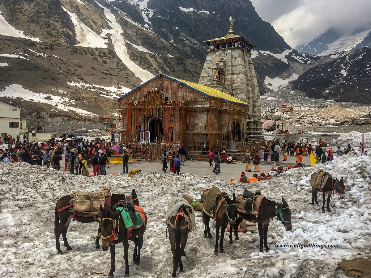 travel-guide-to-kedarnath-temple-all-gud-things